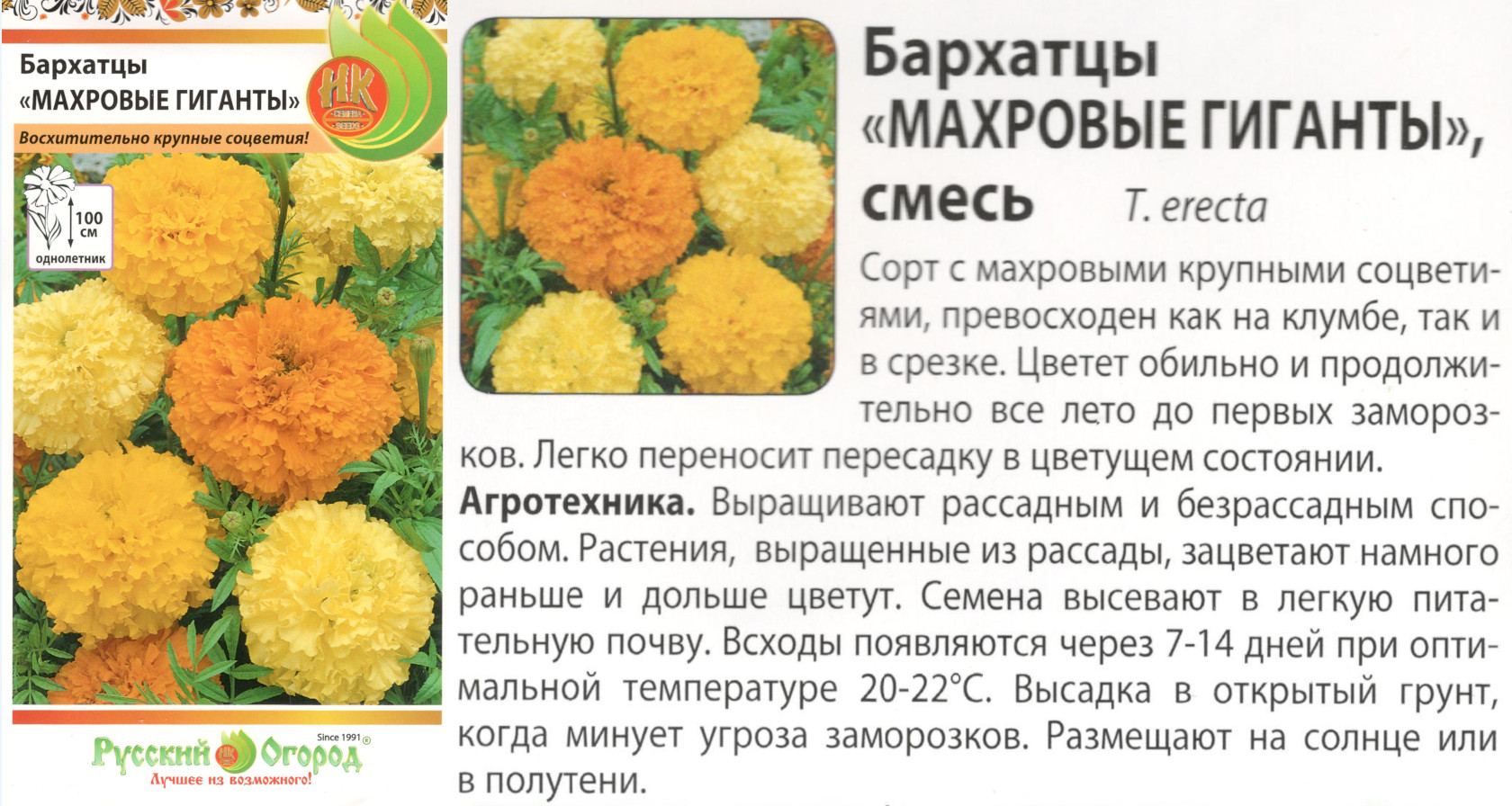 картинка Бархатцы Махровые гиганты 0,3 гр. (НК) $ РО интернет-магазин "Дачник"