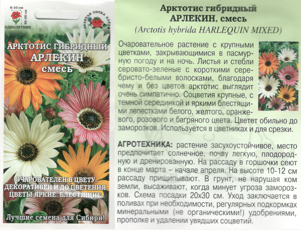 картинка Арктотис Арлекин 0,1 гр. смесь $ ЗСА интернет-магазин "Дачник"