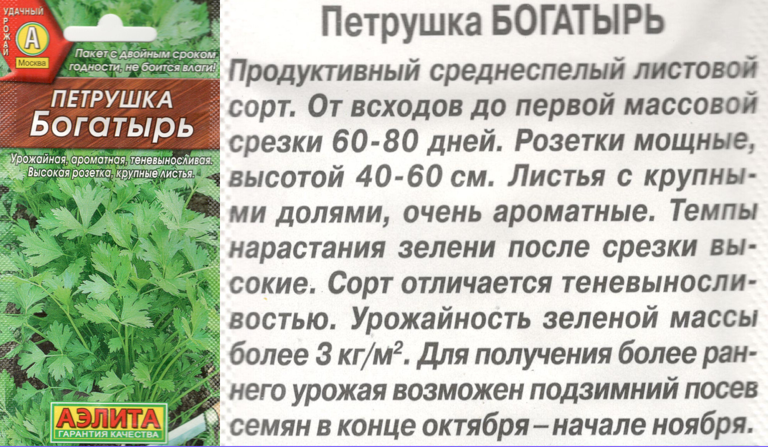 картинка Петрушка Богатырь 2 гр. $ листовая / Аэлита интернет-магазин "Дачник"