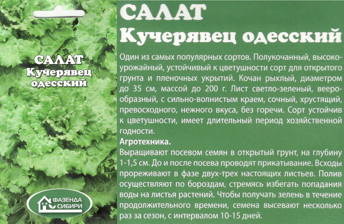 картинка Салат Кучерявец одесский 0,3 гр. $ Фазенда Сибири интернет-магазин "Дачник"