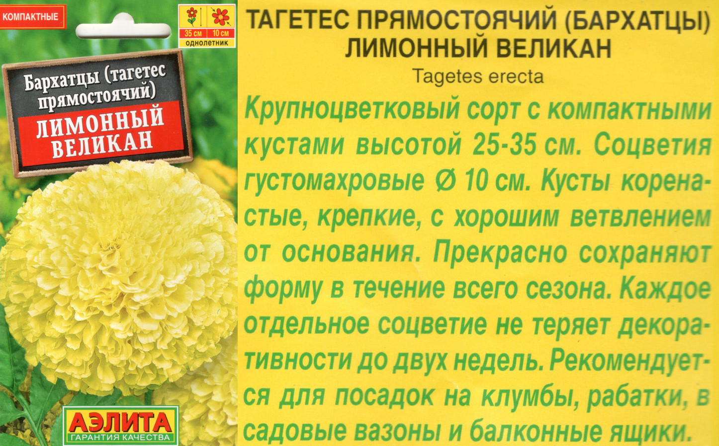 картинка Бархатцы Лимонный великан 0,1 гр. $ Аэлита интернет-магазин "Дачник"