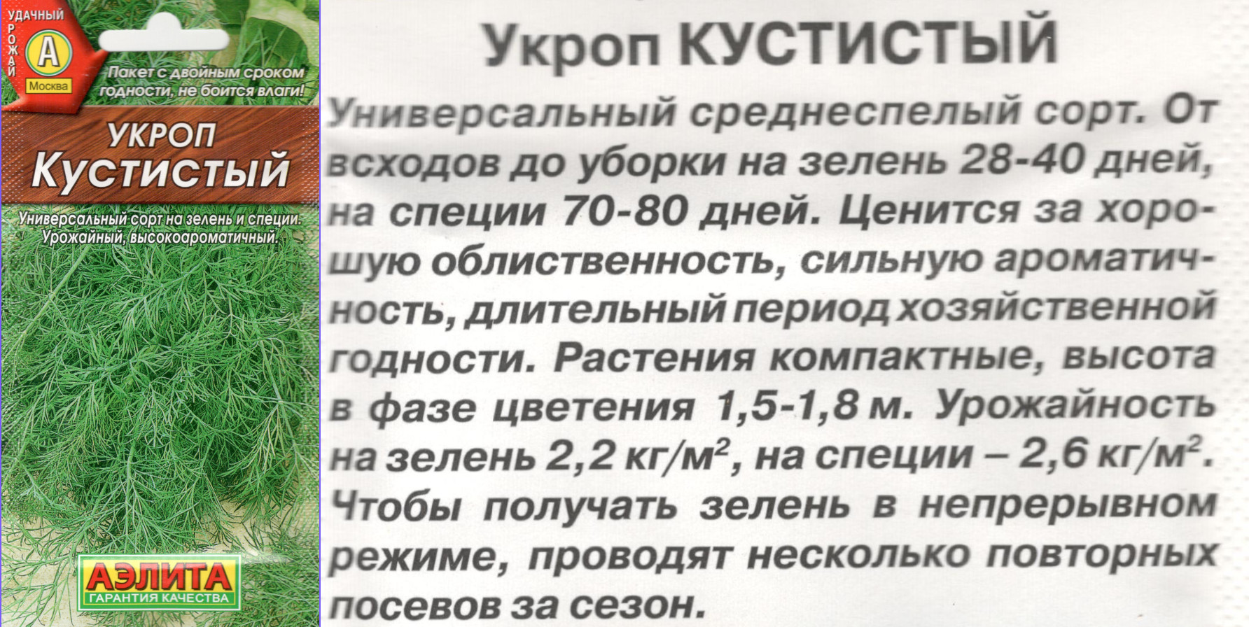 картинка Укроп Кустистый 2 гр. $ Аэлита интернет-магазин "Дачник"