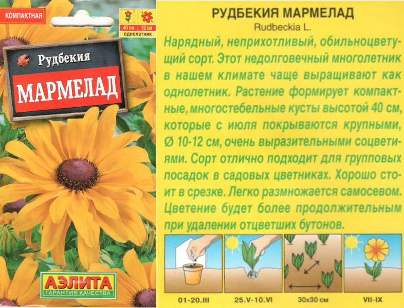 картинка Рудбекия Мармелад 0,2 гр. $ Аэлита интернет-магазин "Дачник"