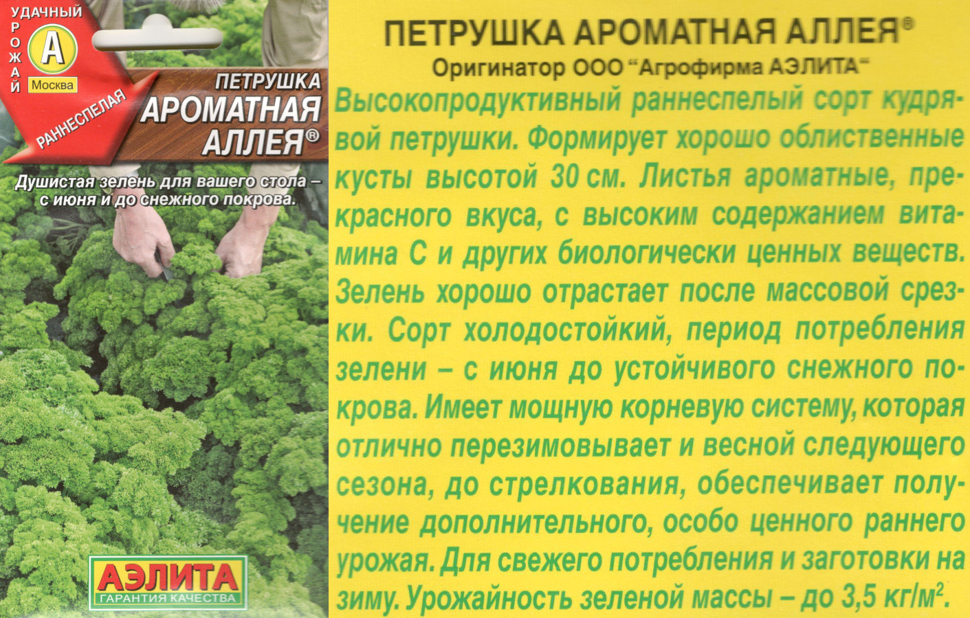 картинка Петрушка Ароматная аллея 2 гр. кудрявая $ / Аэлита интернет-магазин "Дачник"