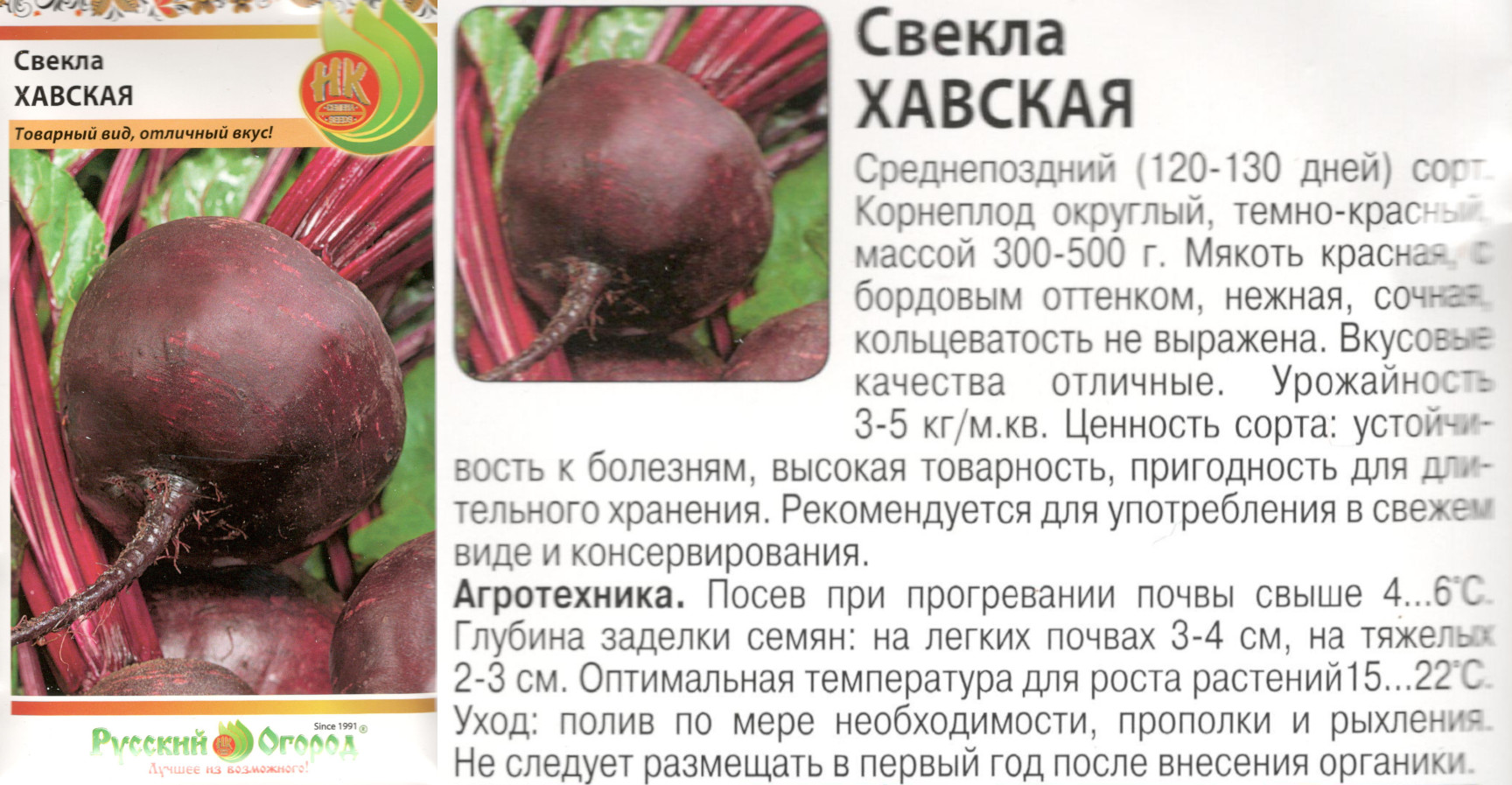 картинка Свекла Хавская 3 гр. (НК) $ РО интернет-магазин "Дачник"
