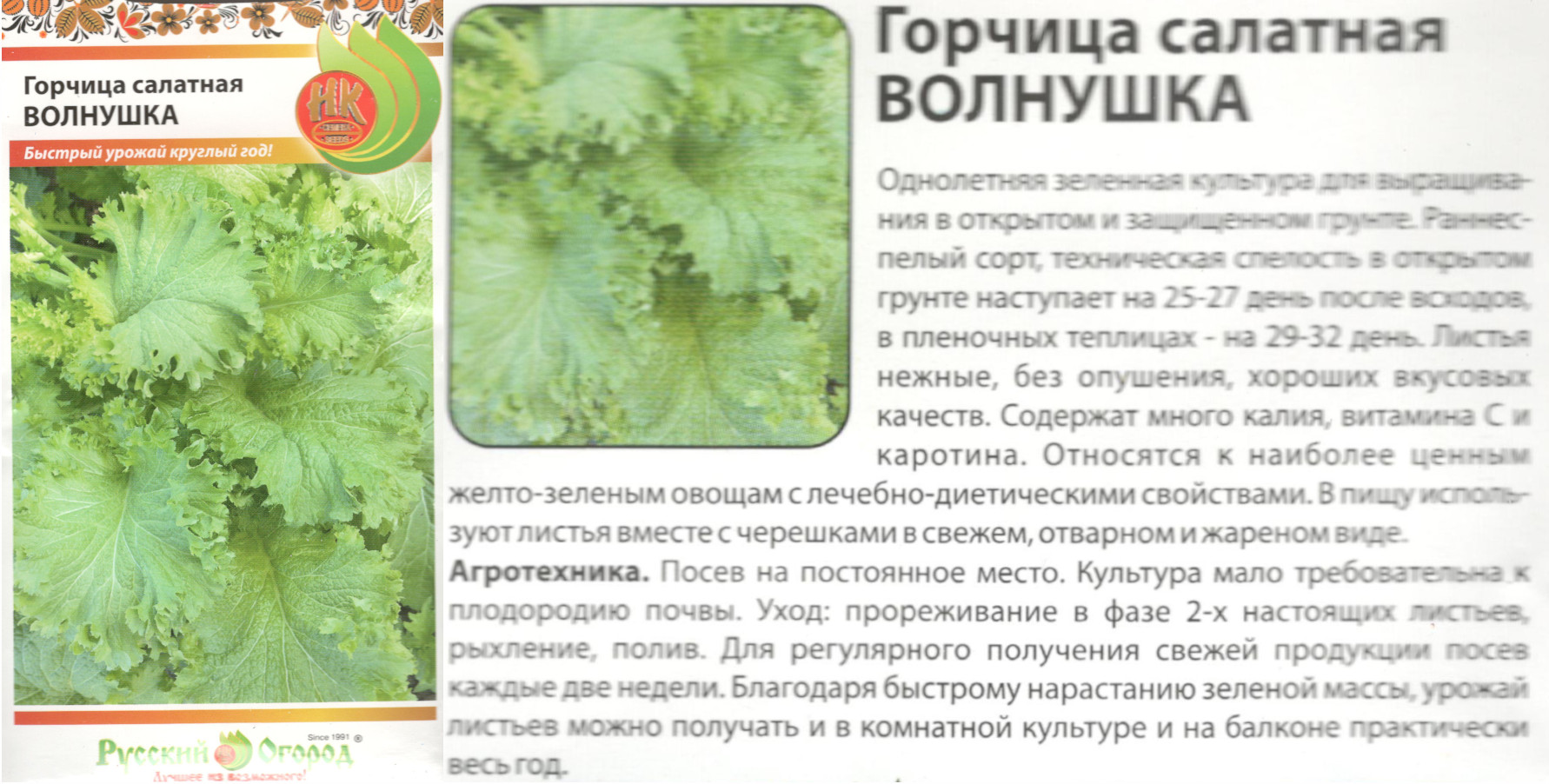 картинка Горчица Волнушка 1 гр. (НК) $ РО интернет-магазин "Дачник"