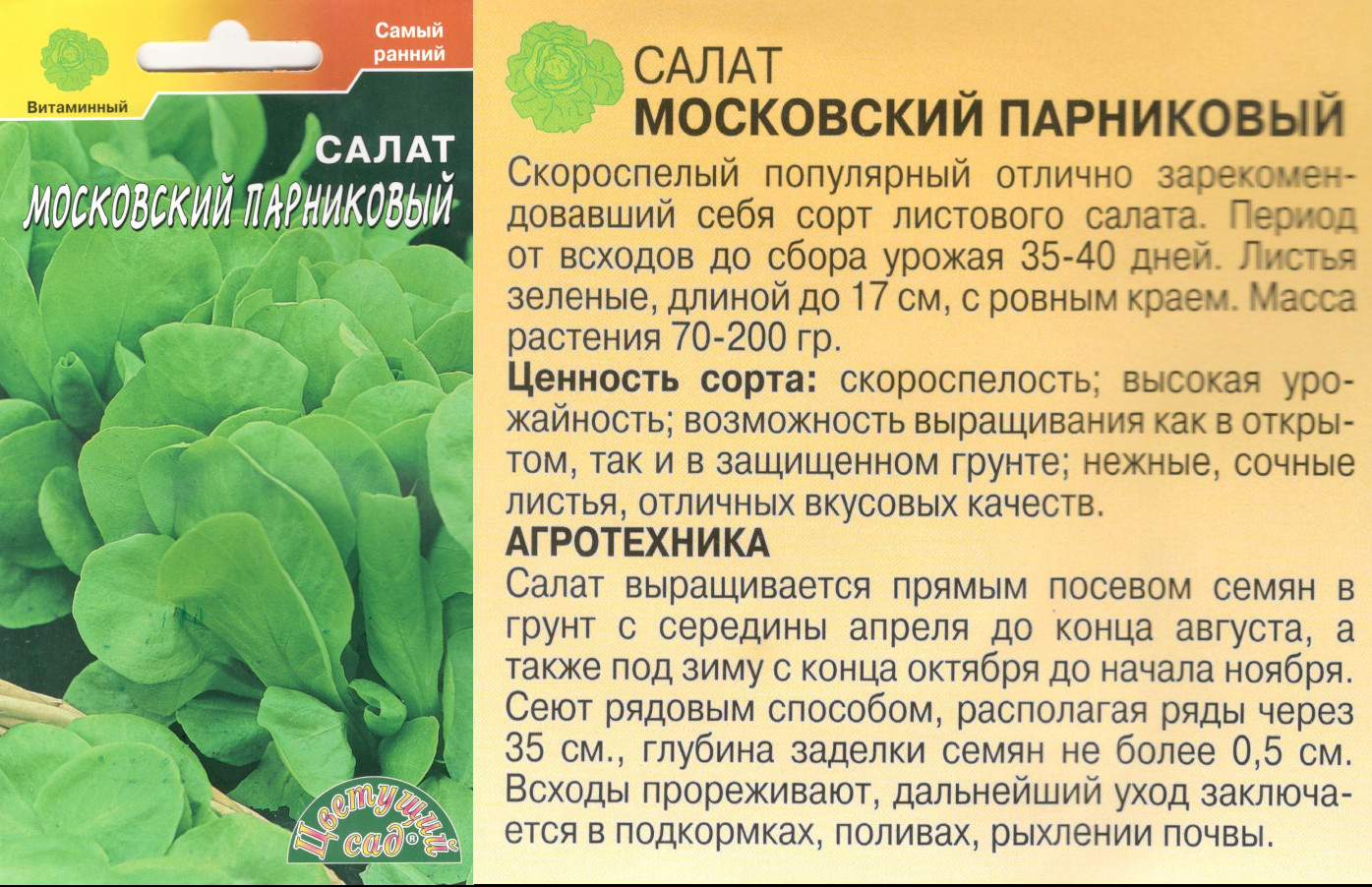 картинка Салат Московский парниковый 0,5 гр. листовой $ Цв.сад интернет-магазин "Дачник"