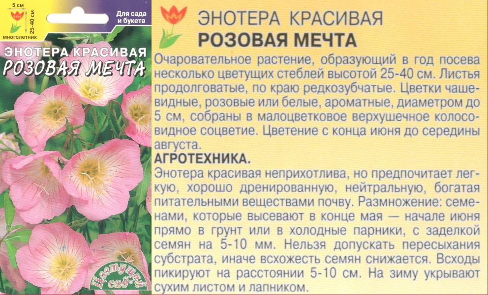 картинка Энотера Розовая мечта 0,05 гр. $ Цв.сад интернет-магазин "Дачник"