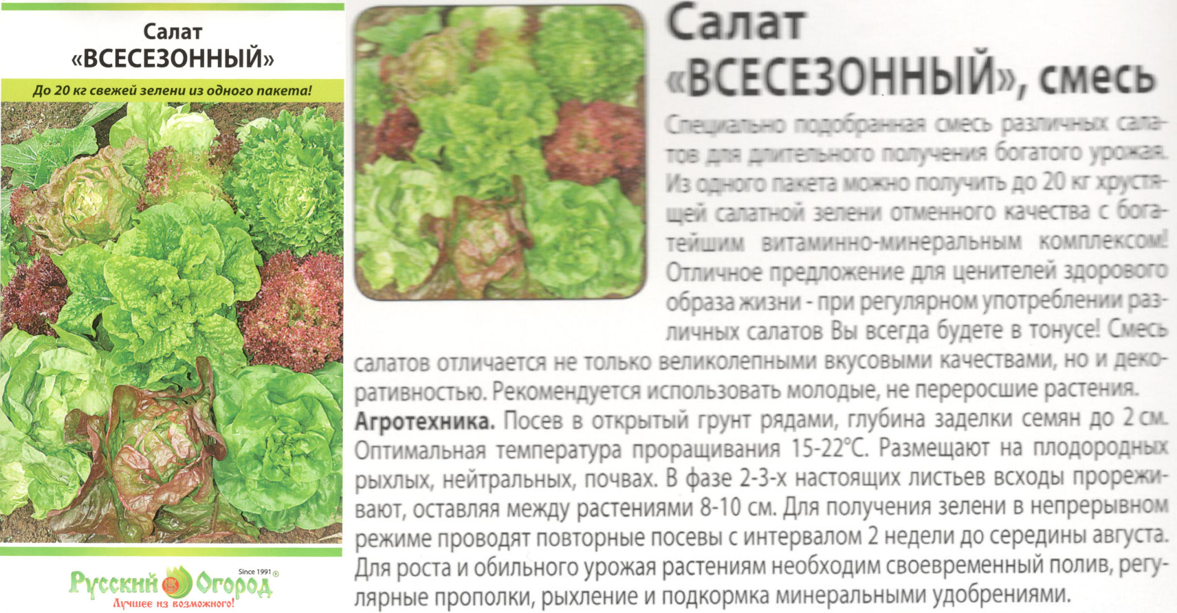 картинка Салат Всесезонный 1 гр. $ (НК) Цв.сад интернет-магазин "Дачник"