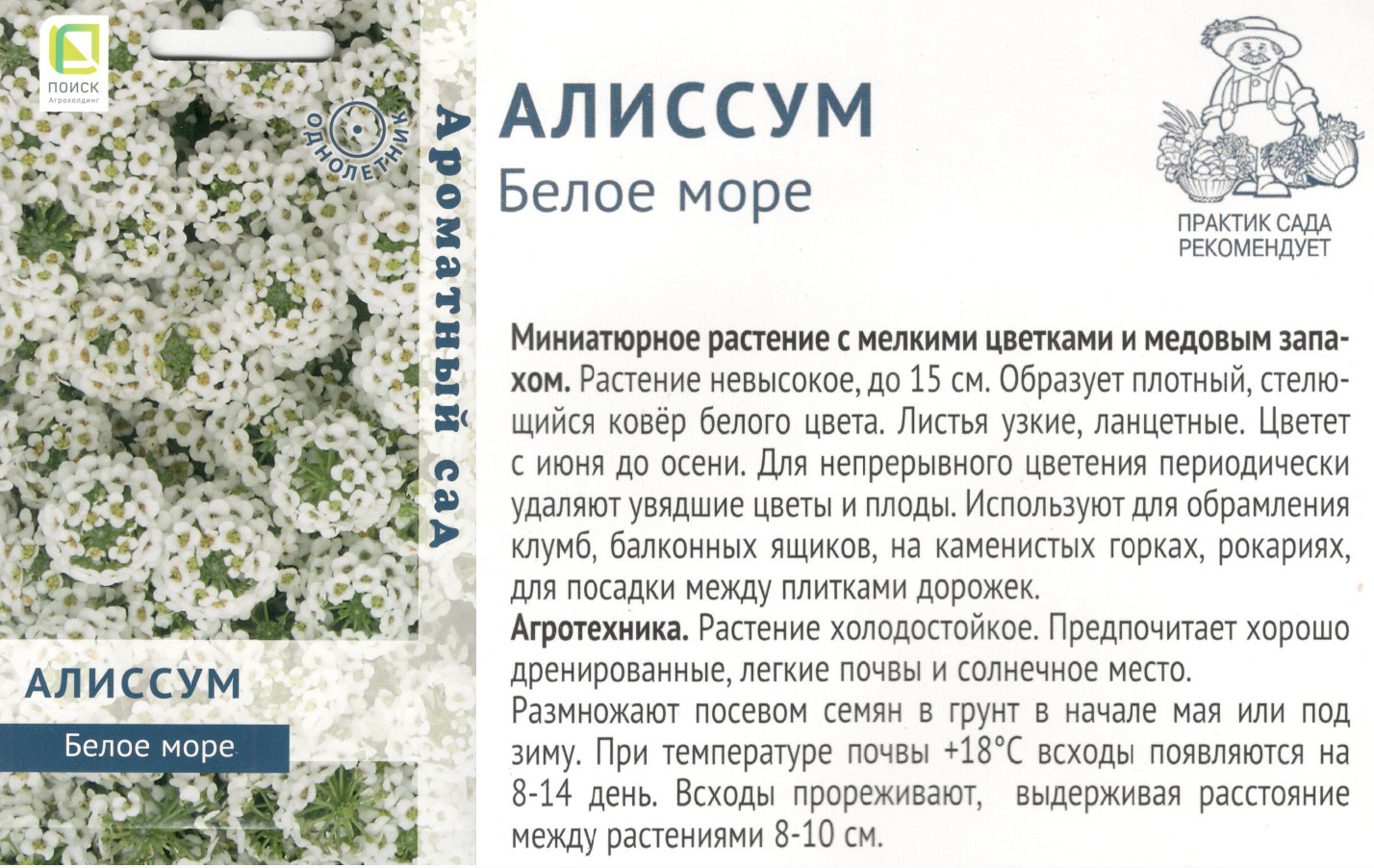 картинка Алиссум Белое море 0,3 гр. $ Поиск интернет-магазин "Дачник"