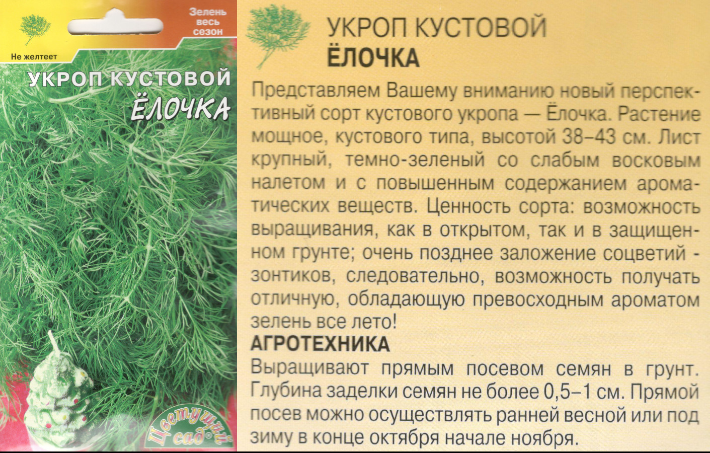 картинка Укроп Елочка 2 гр. (кустовой) $ Цв.сад интернет-магазин "Дачник"