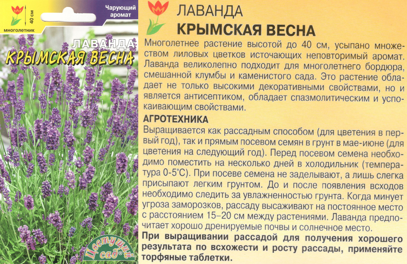 картинка Лаванда Крымская весна 0,1 гр. $ Цв.сад интернет-магазин "Дачник"