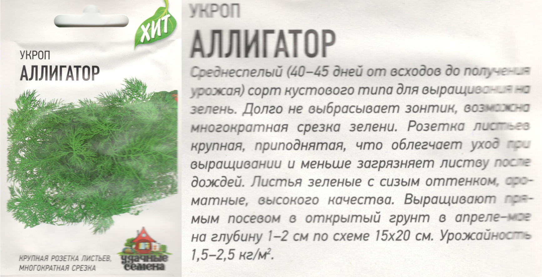 картинка Укроп Аллигатор 2 гр. (Хит УС) $ Болгов интернет-магазин "Дачник"
