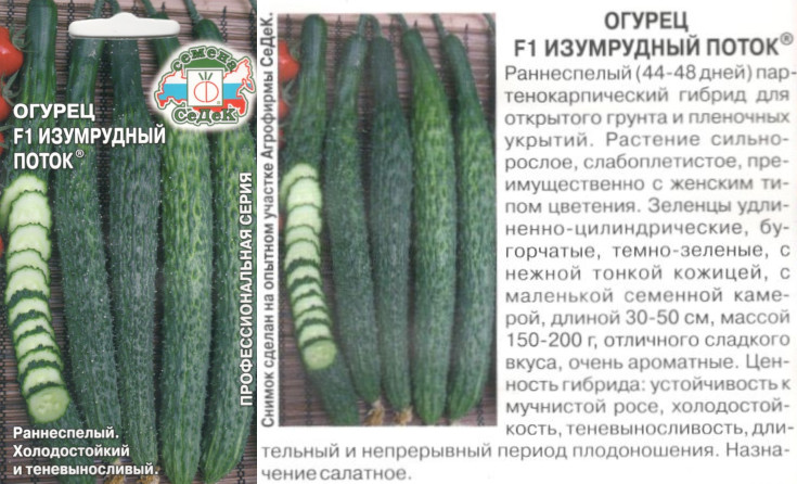 картинка Огурец Изумрудный поток 0,2 гр. (р/спелый) $ Седек интернет-магазин "Дачник"