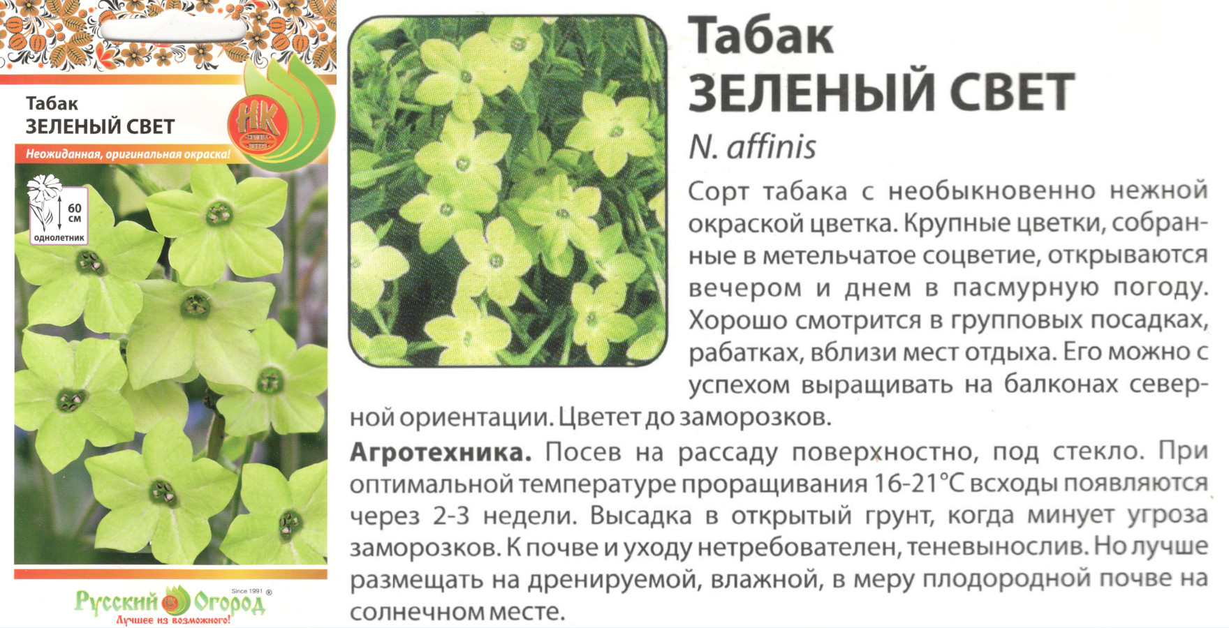 картинка Табак Зеленый свет 0,1 гр. душистый (однолет.) $ РО интернет-магазин "Дачник"