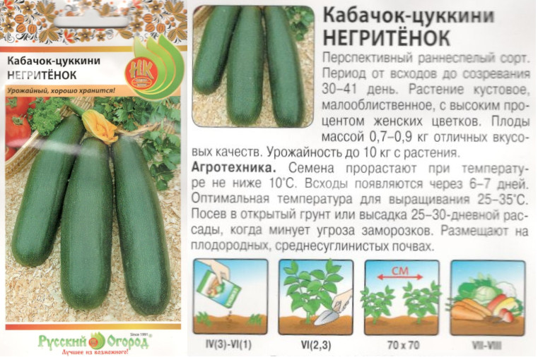 картинка Кабачок Негритенок 2 гр. цуккини (НК) $ РО интернет-магазин "Дачник"