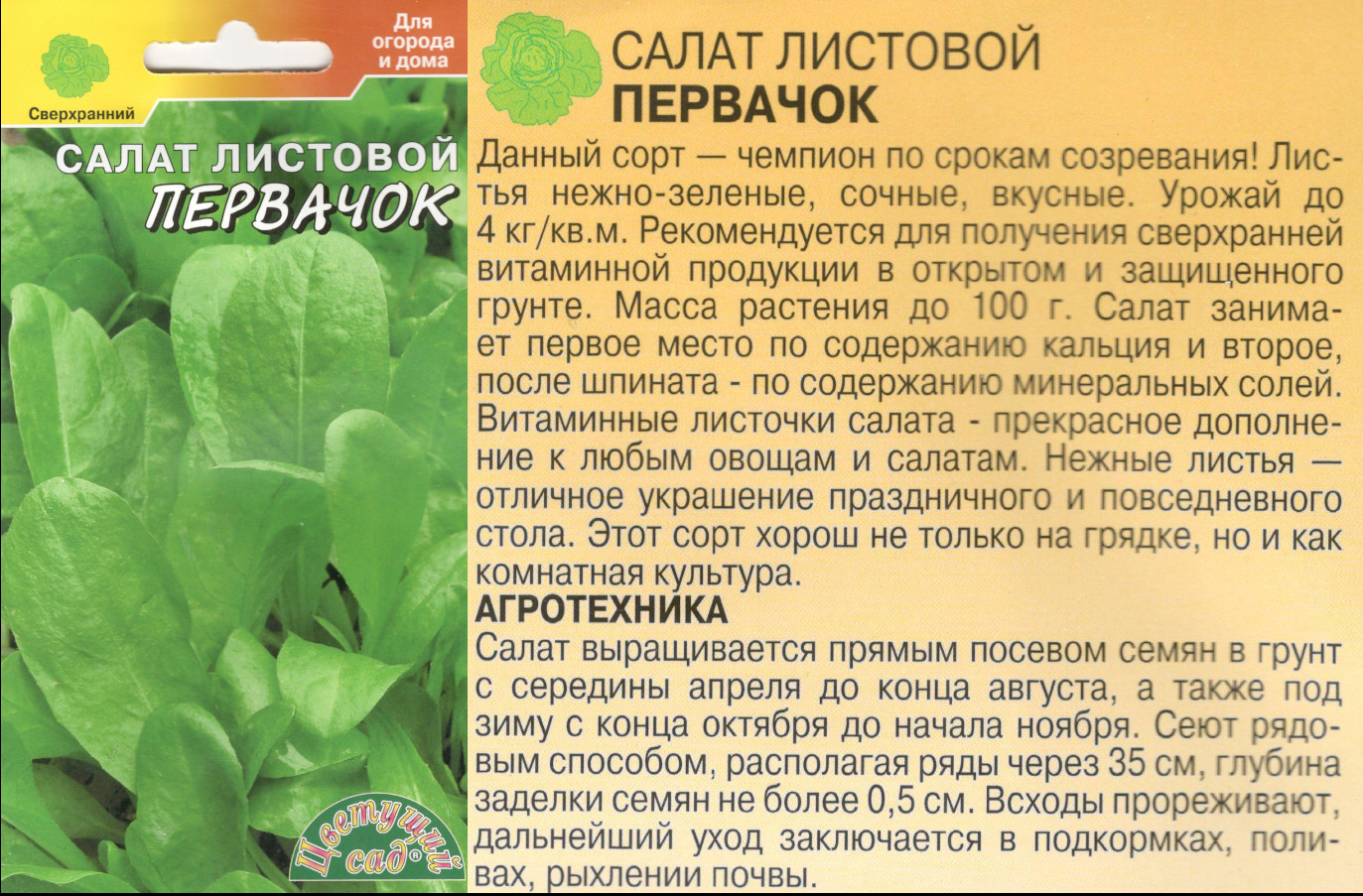 картинка Салат Первачок 0,5 гр. листовой $ Цв.сад интернет-магазин "Дачник"