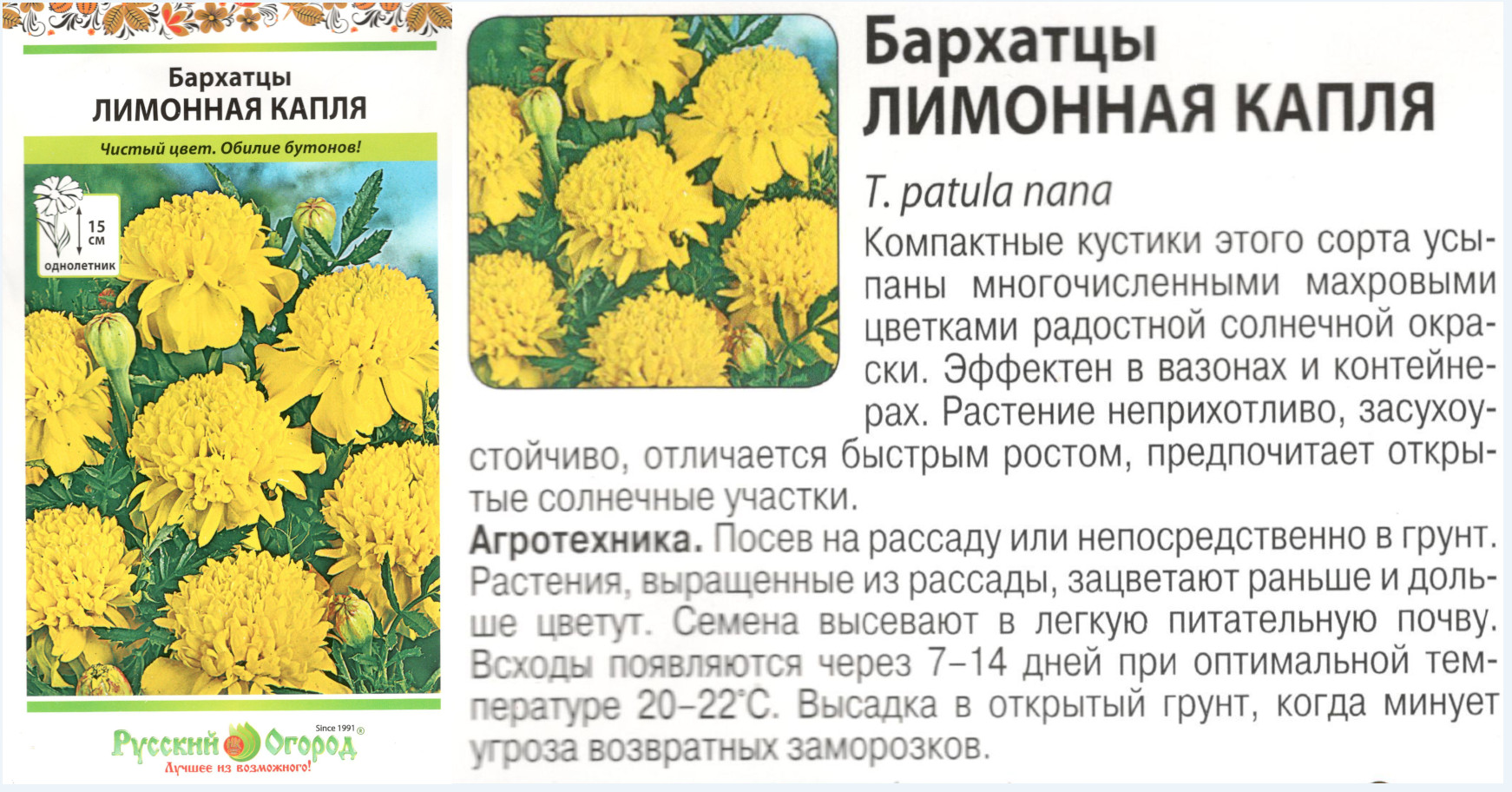 картинка Бархатцы Лимонная капля 0,3 гр. $ РО интернет-магазин "Дачник"