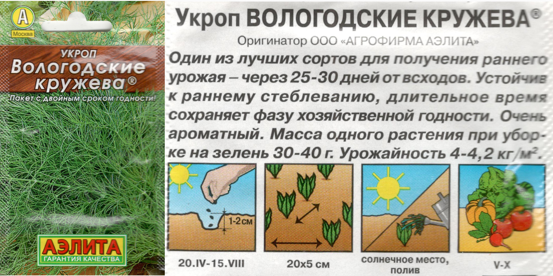 картинка Укроп Вологодские кружева 1 гр. (Лидер) $ Аэлита интернет-магазин "Дачник"