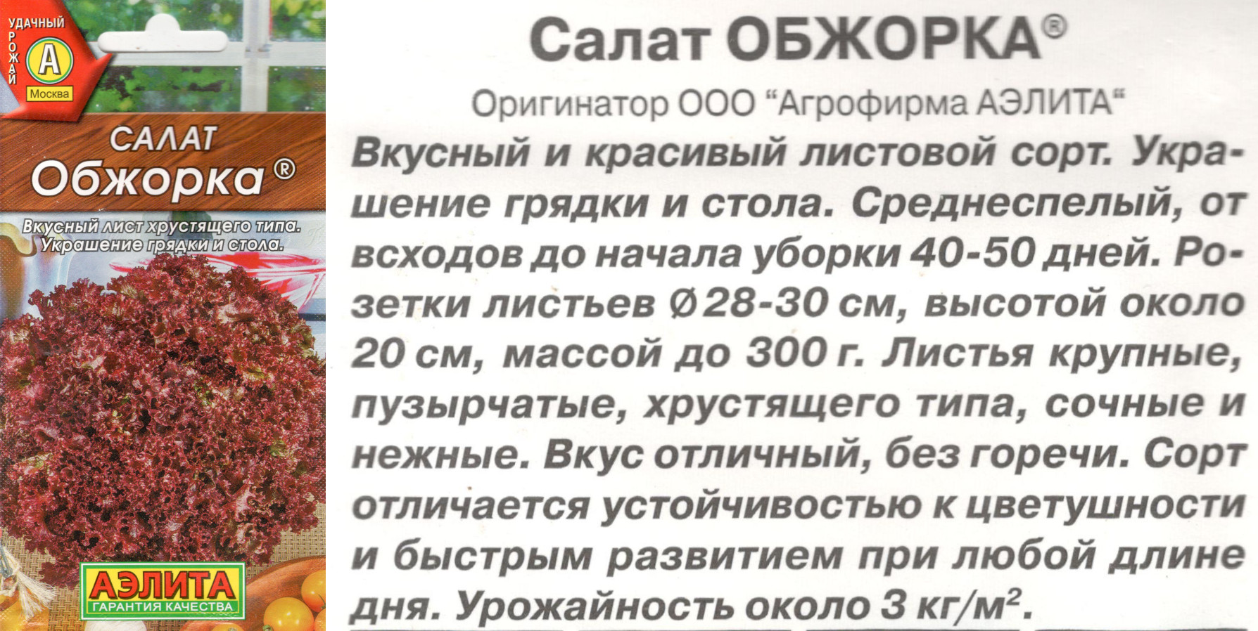 картинка Салат Обжорка 0,5 гр. листовой $ Аэлита интернет-магазин "Дачник"