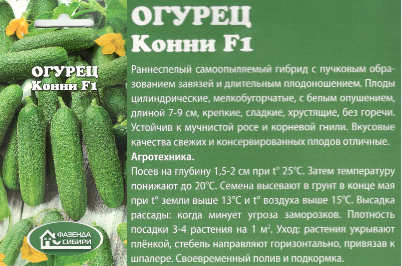 картинка Огурец Конни F1 10 шт. $ Фазенда Сибири интернет-магазин "Дачник"