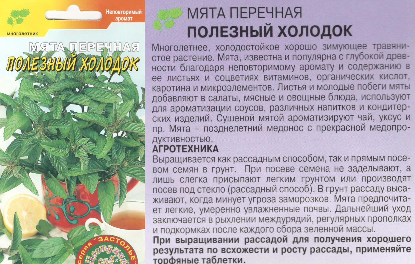 картинка Мята Полезный холодок 0,03 гр. перечная $ Цв.сад интернет-магазин "Дачник"