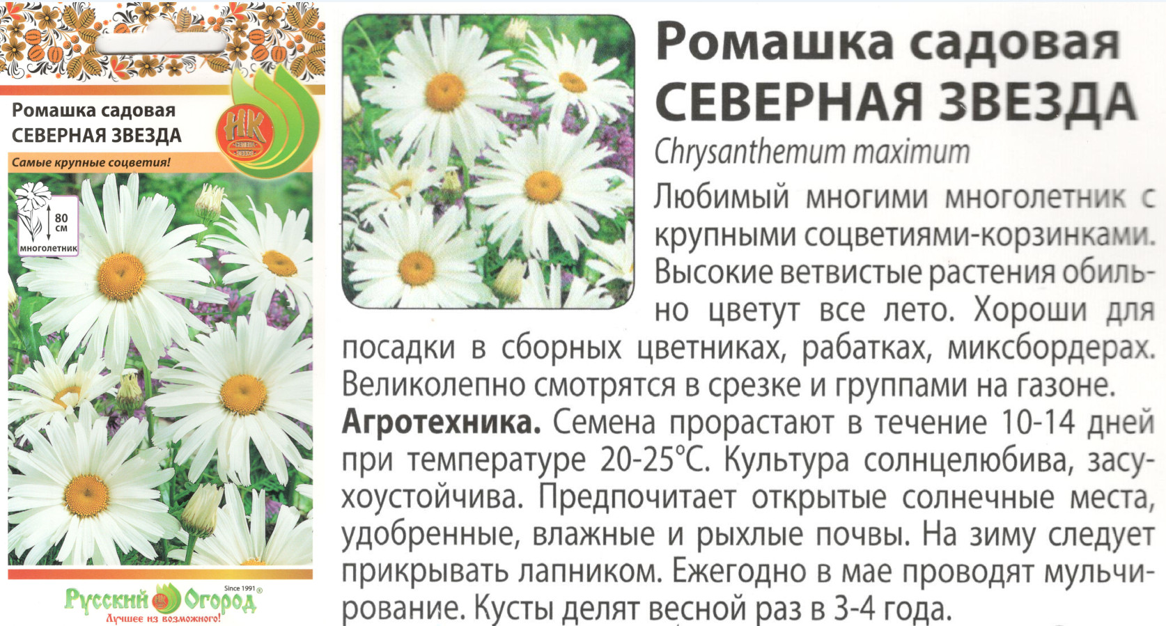 картинка Ромашка Северная звезда 0,3 гр. (НК) $ РО интернет-магазин "Дачник"