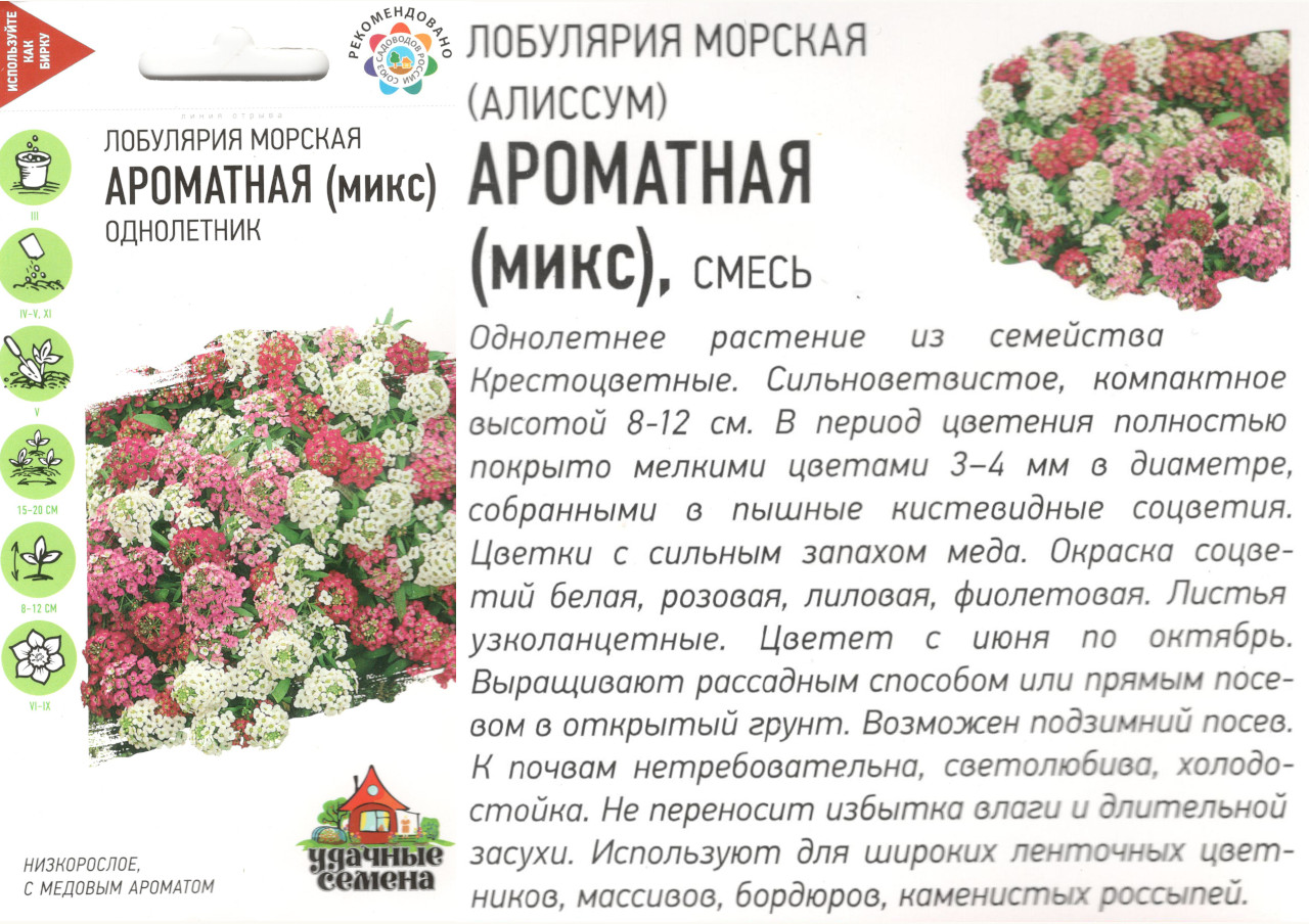 картинка Лобулярия Ароматный микс 0,1 гр. смесь $ Гавриш  интернет-магазин "Дачник"