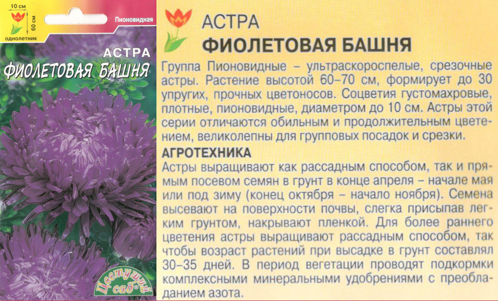картинка Астра Фиолетовая башня 0,2 гр. $ Цв.сад интернет-магазин "Дачник"