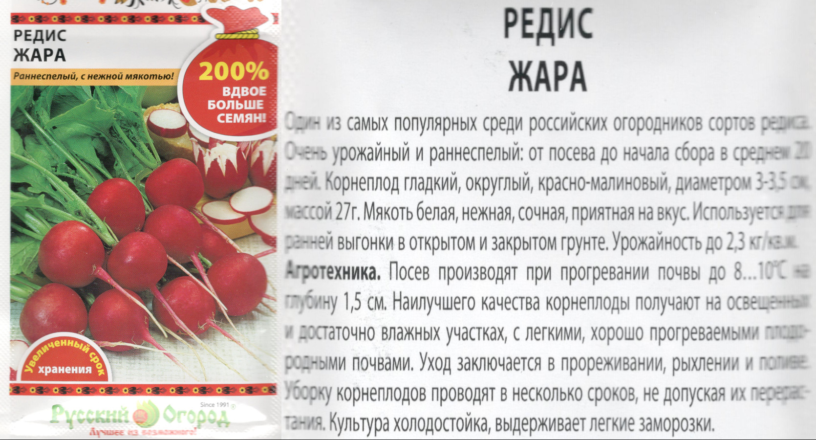 картинка Редис Жара 6 гр. (200%) $ РО интернет-магазин "Дачник"